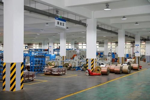 新質(zhì)生產(chǎn)力的隱形巨人 一位技術(shù)研發(fā)者在三大新興產(chǎn)業(yè)中的深耕之路